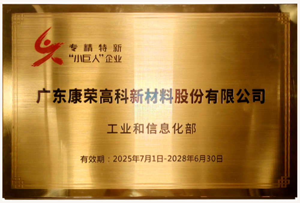 专精特新“小巨人”企业
