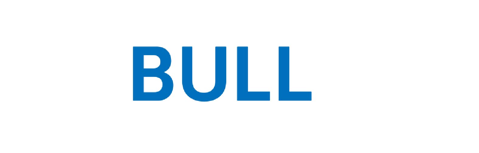 bull